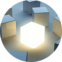 Leadership and Justice Reform Process Management